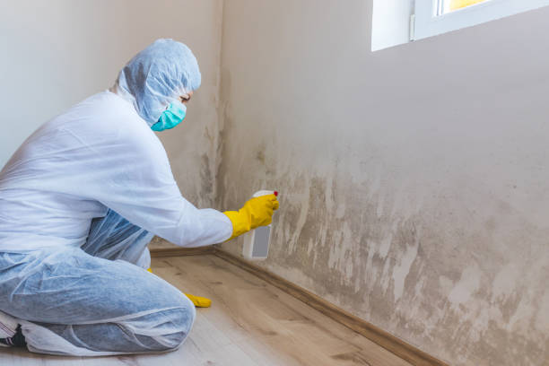 Mold Remediation specialist working in Kissimmee